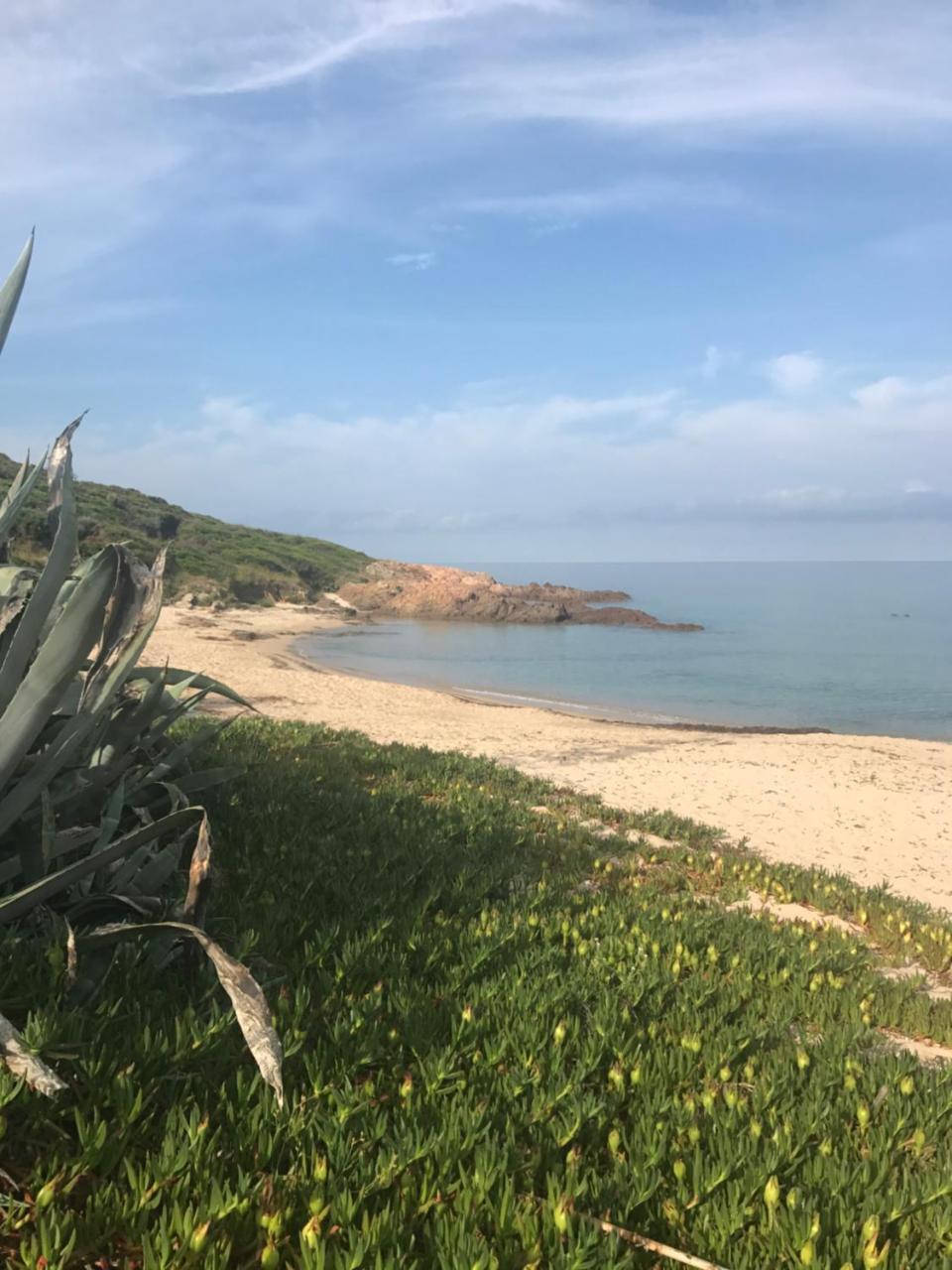 Hotel Thalassa Cargèse 외부 사진