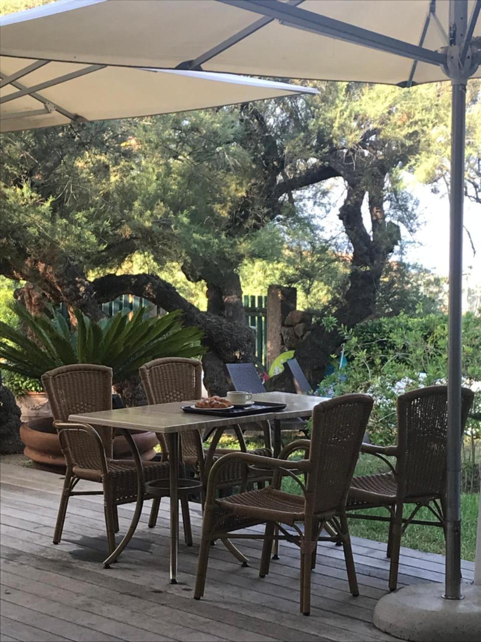 Hotel Thalassa Cargèse 외부 사진
